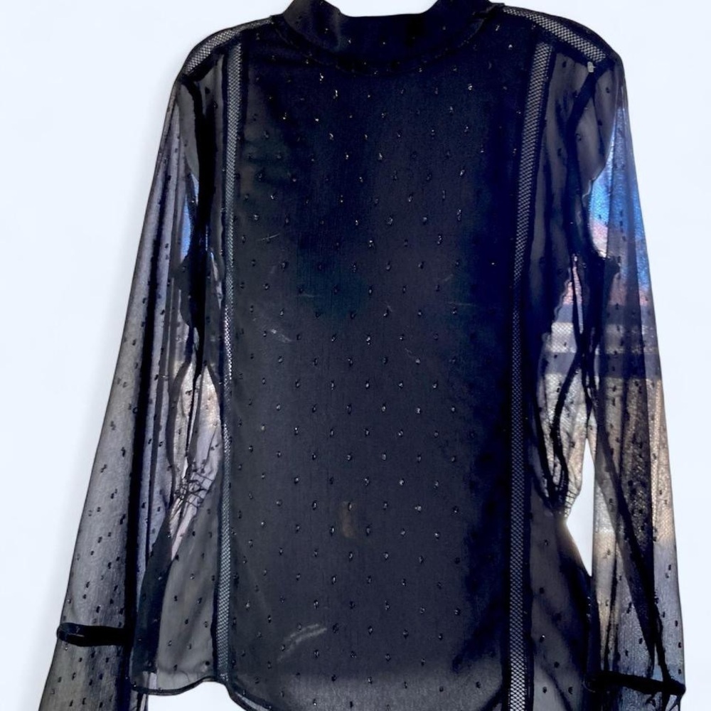 Black mesh long sleeve blouse with beaded detailing Zara basic 2
